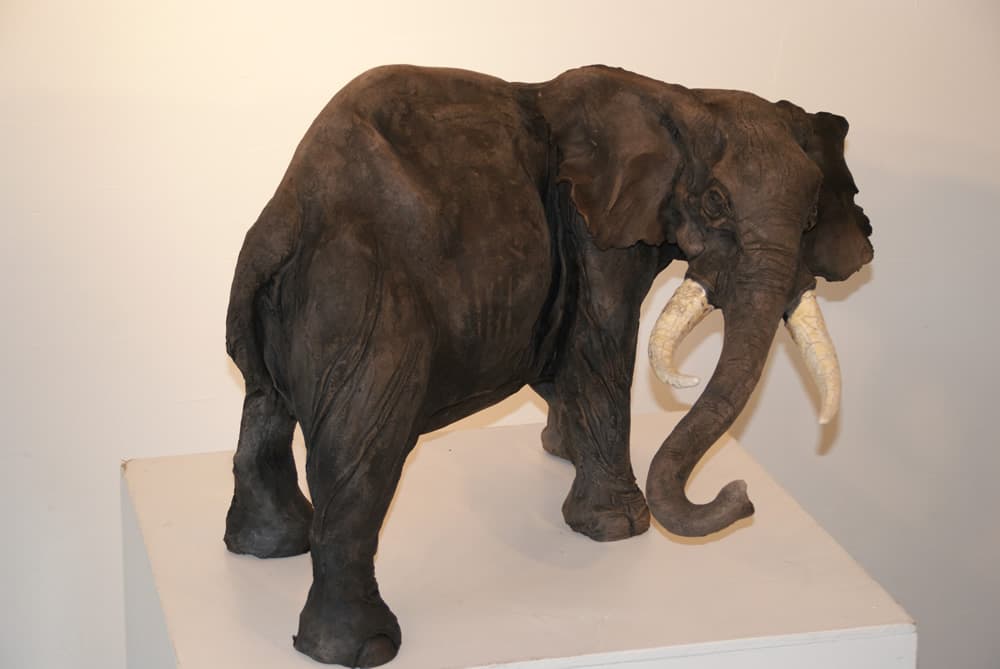 Eléphant