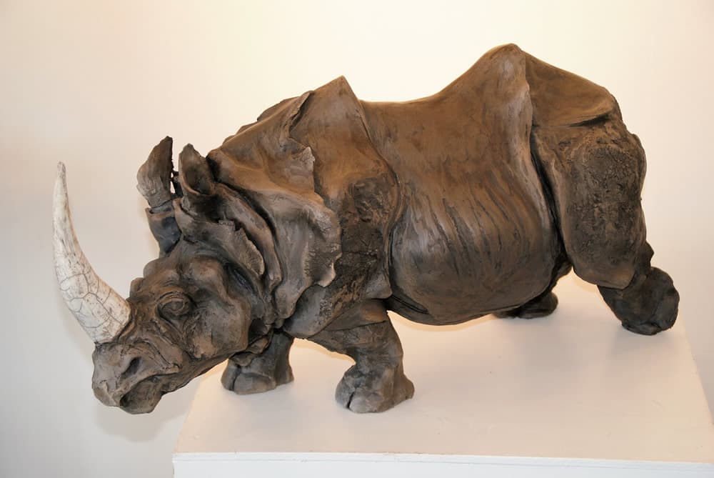 Rhinocéros